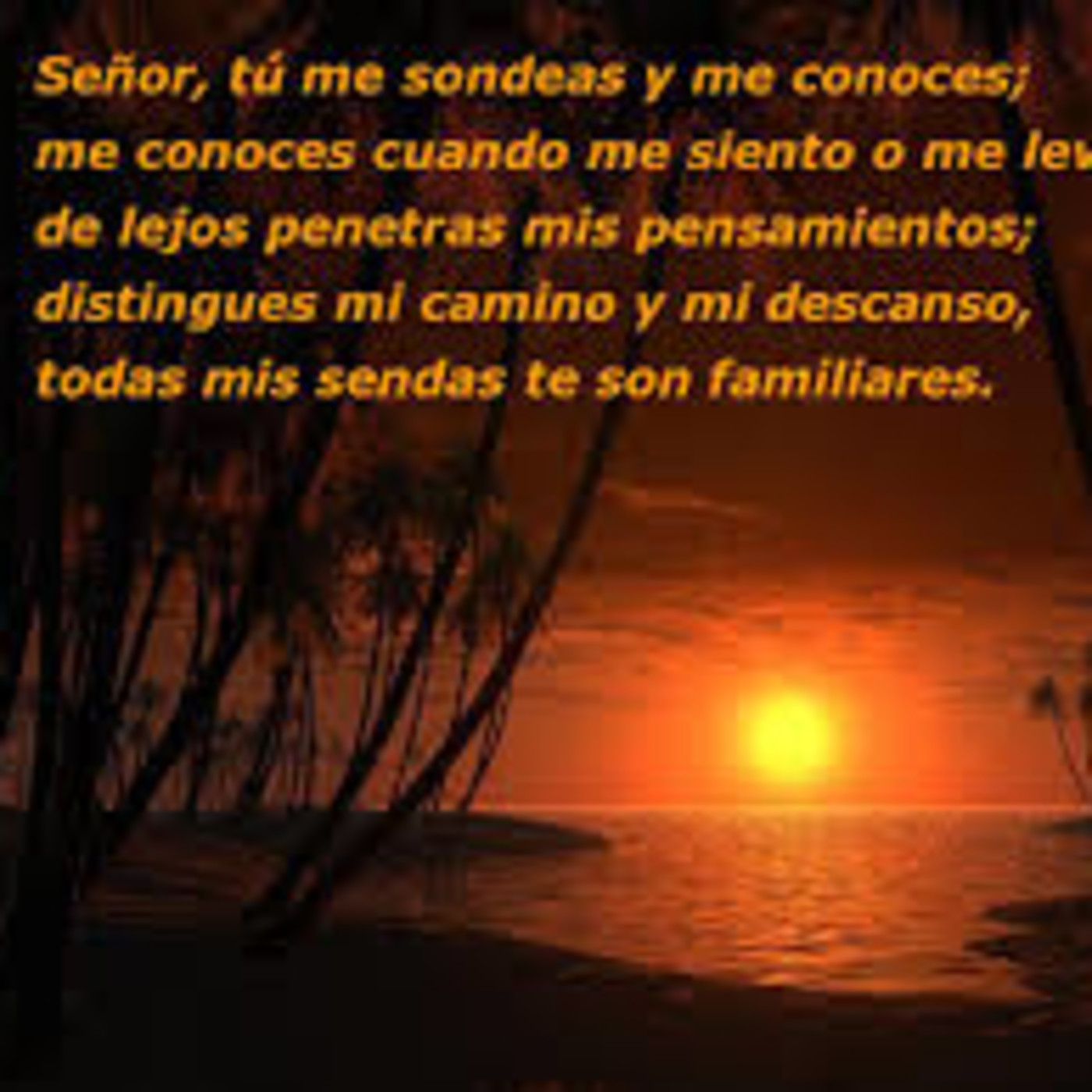 abunadi