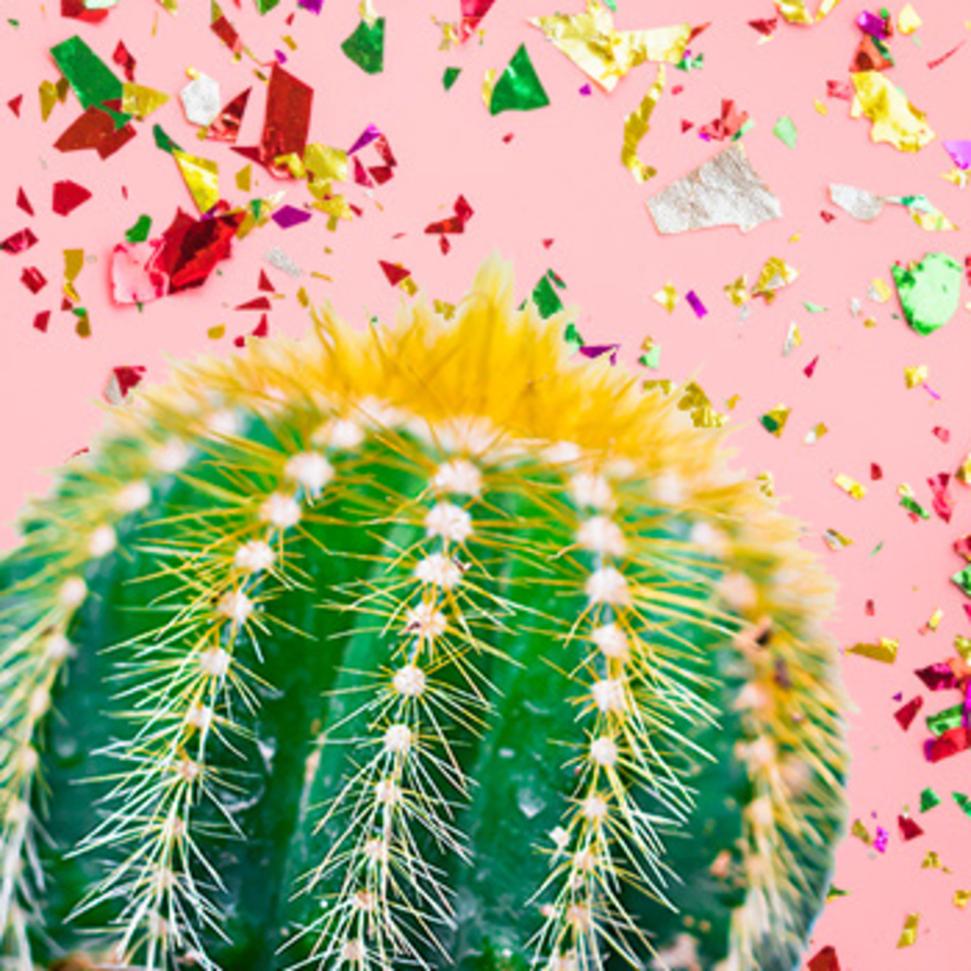 Cactus Confetti