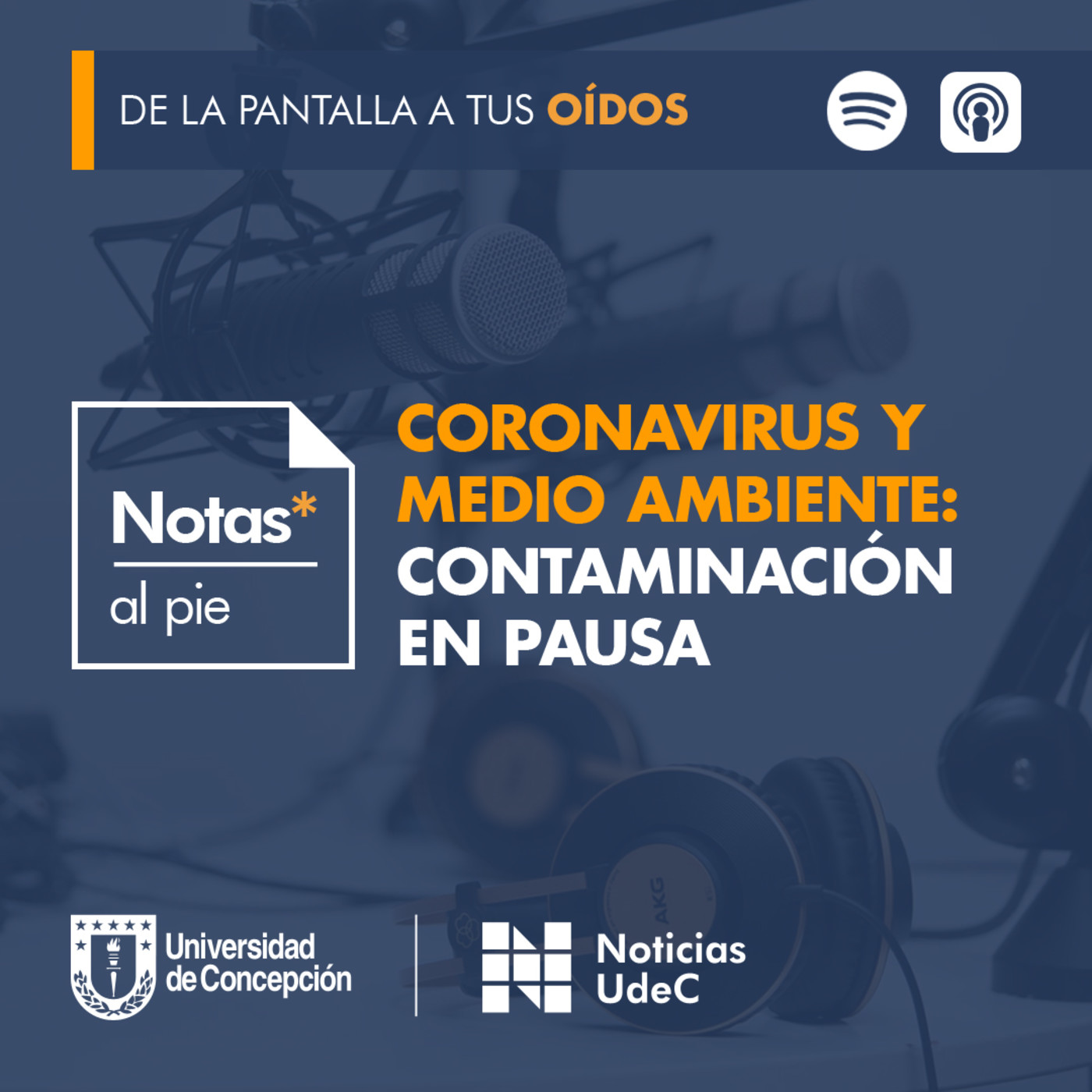 Notas al pie