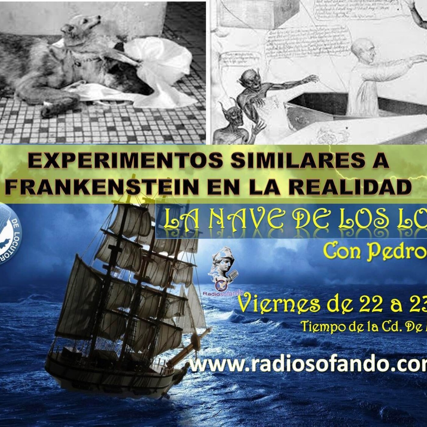 La Nave de los Locos_EXPERIMENTOS SIMILARES A FRANKENSTEIN EN LA REALIDAD_28-08-20 episode artwork