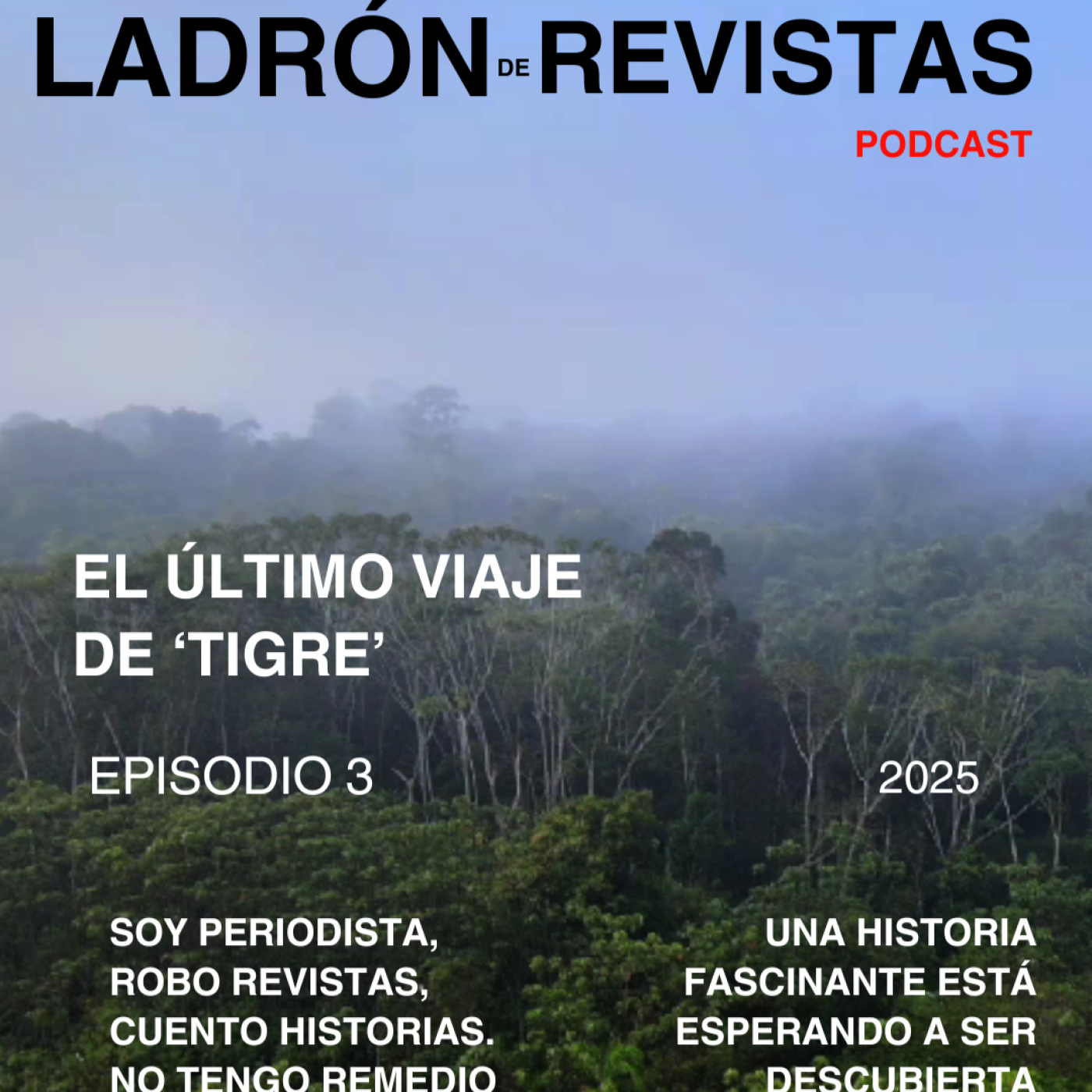 Ladrón de Revistas