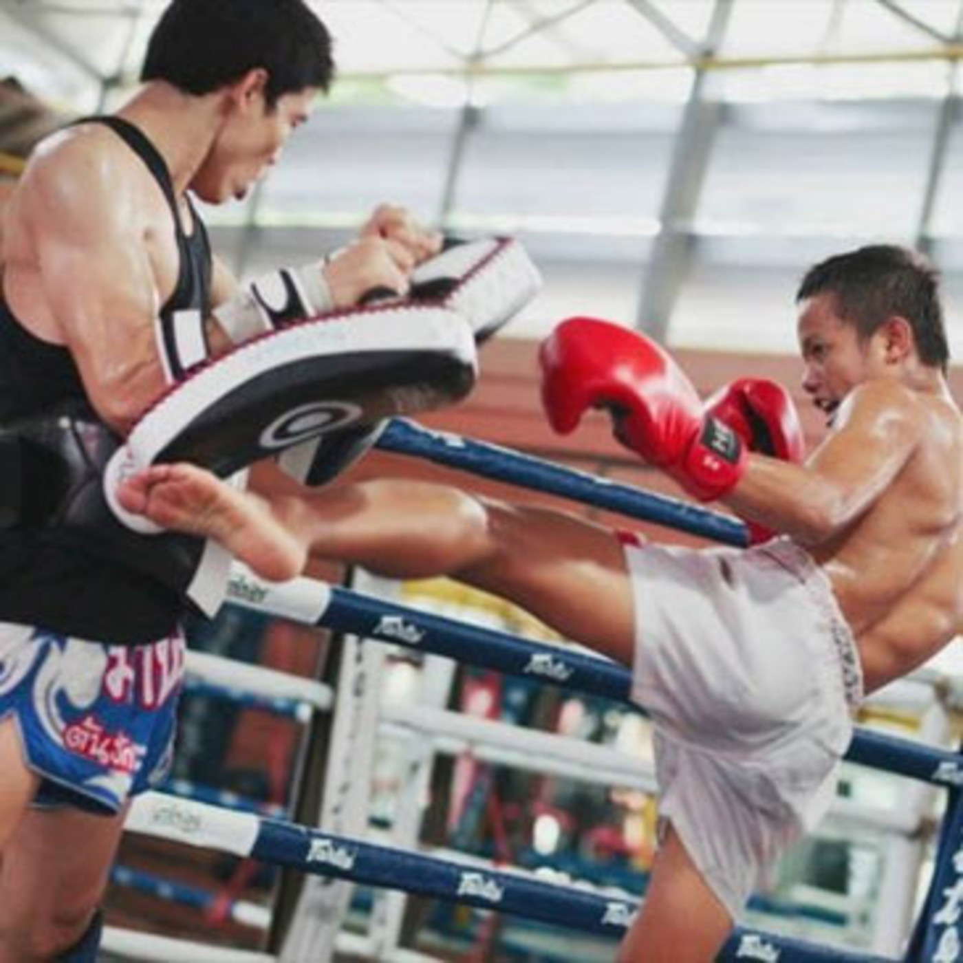 Dragonz | Artes Marciales y Deportes de Contacto