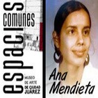 REPÚBLICA ENGENDRO - Espacios Comunes arte y cultura en Ciudad Juarez - Carl André solapado por el arte y Ana Mendieta