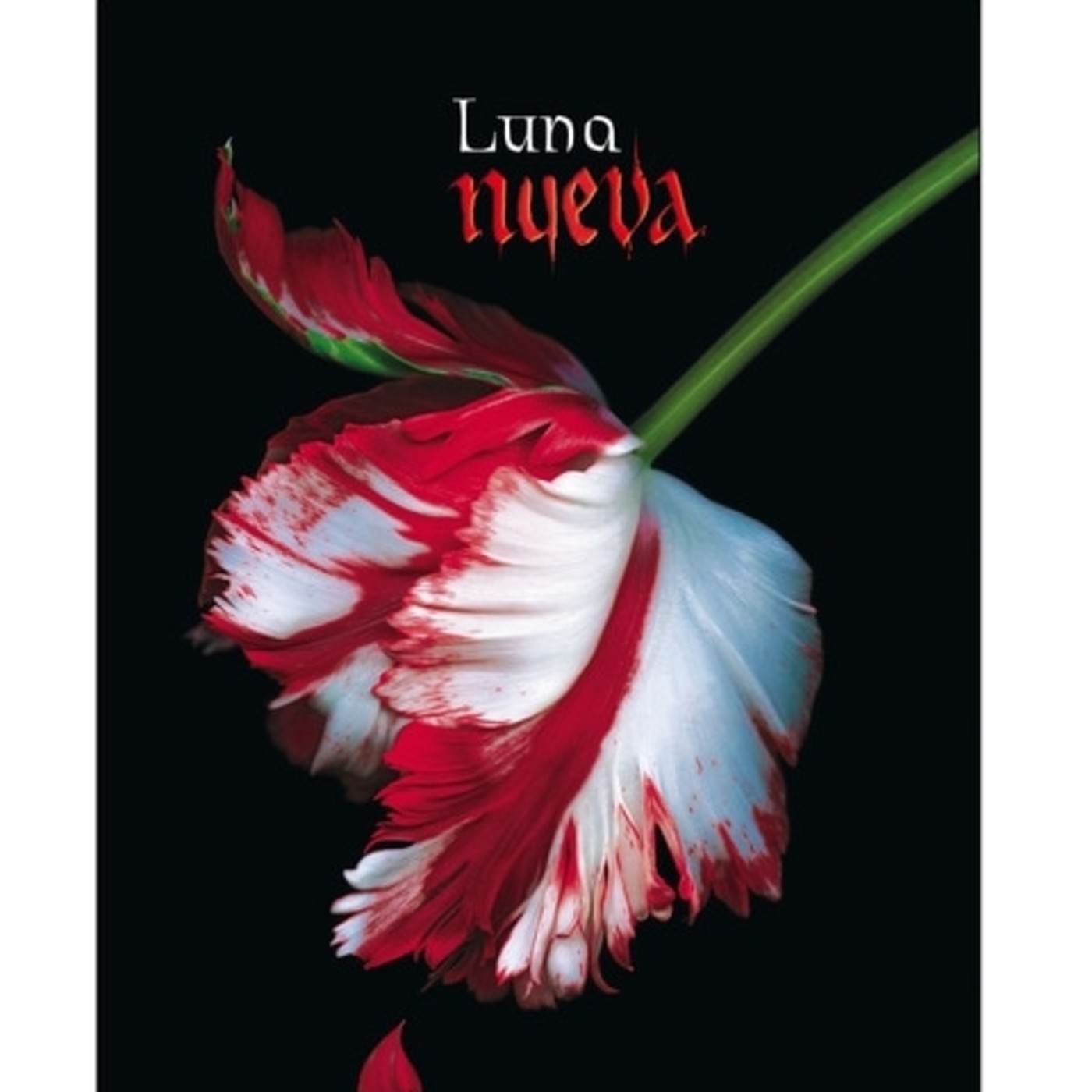 Radio Club de Lectores