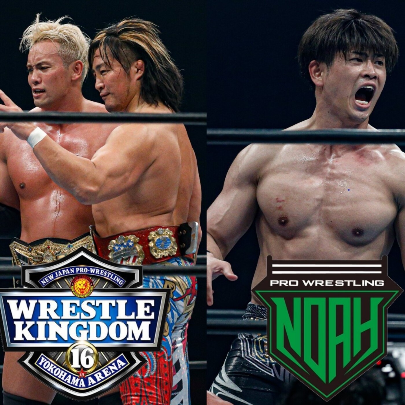 Alpha Puroresu Podcast