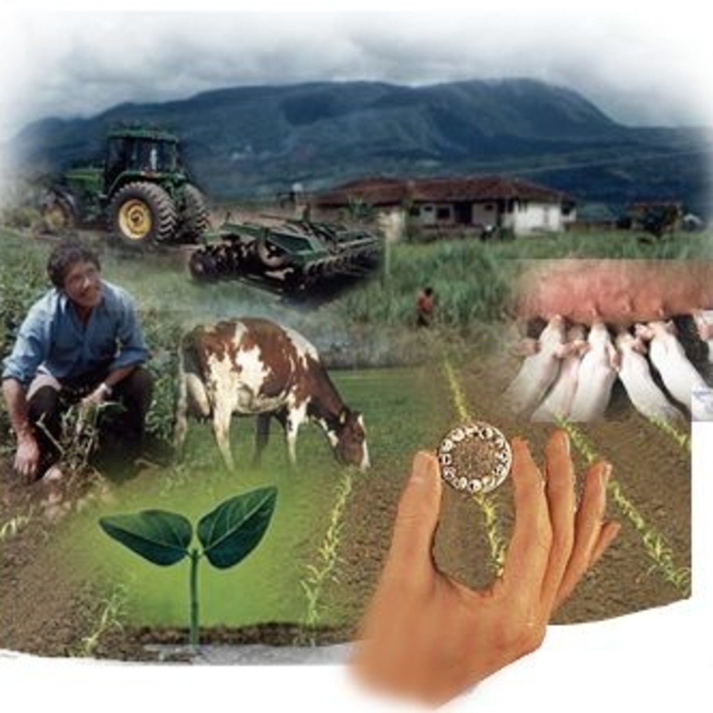 Campo Agropecuario