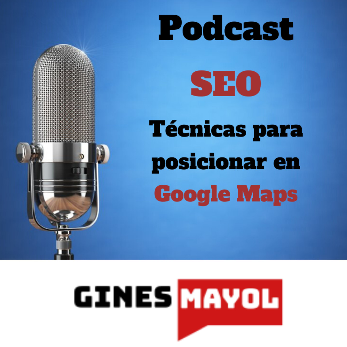 Gines Mayol - SEO