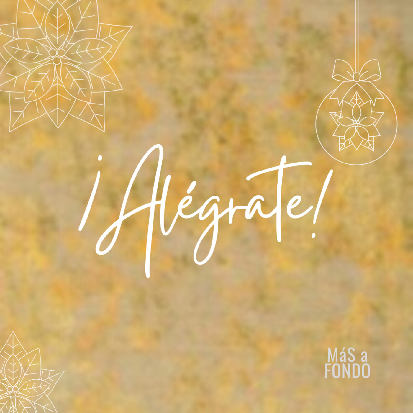 Más a fondo
