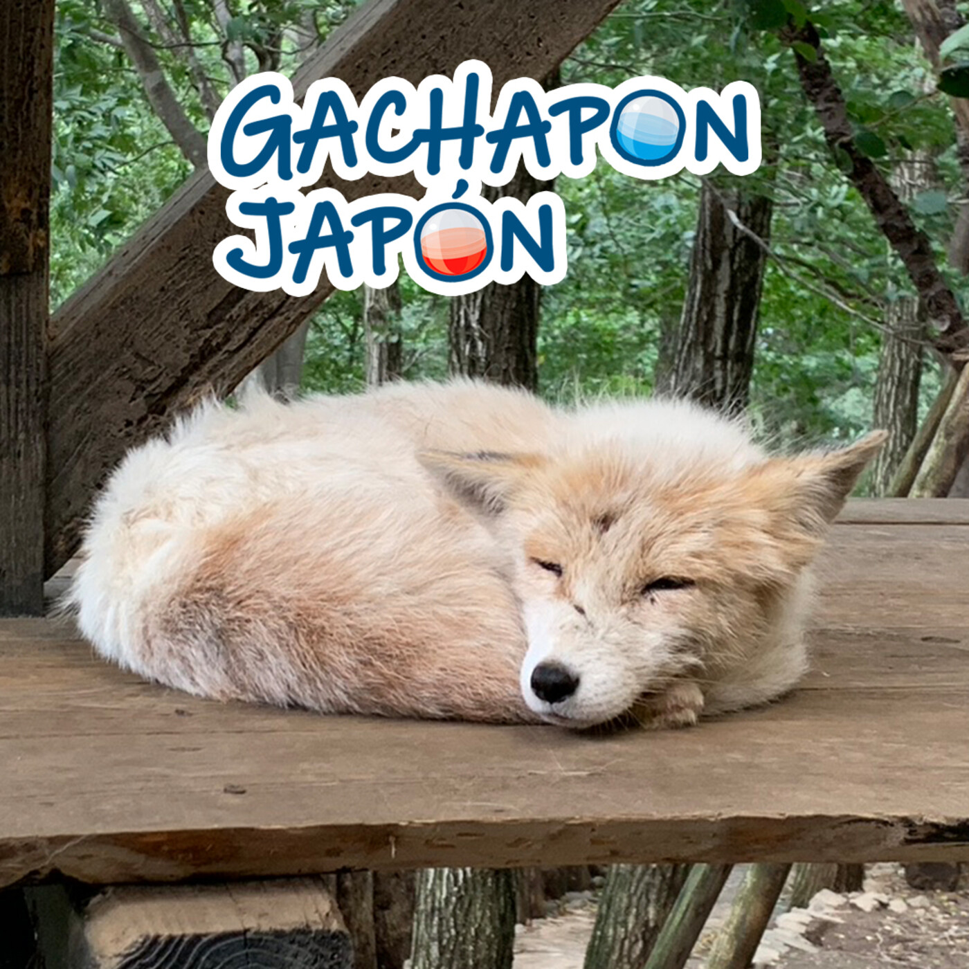 Gachapon Japón