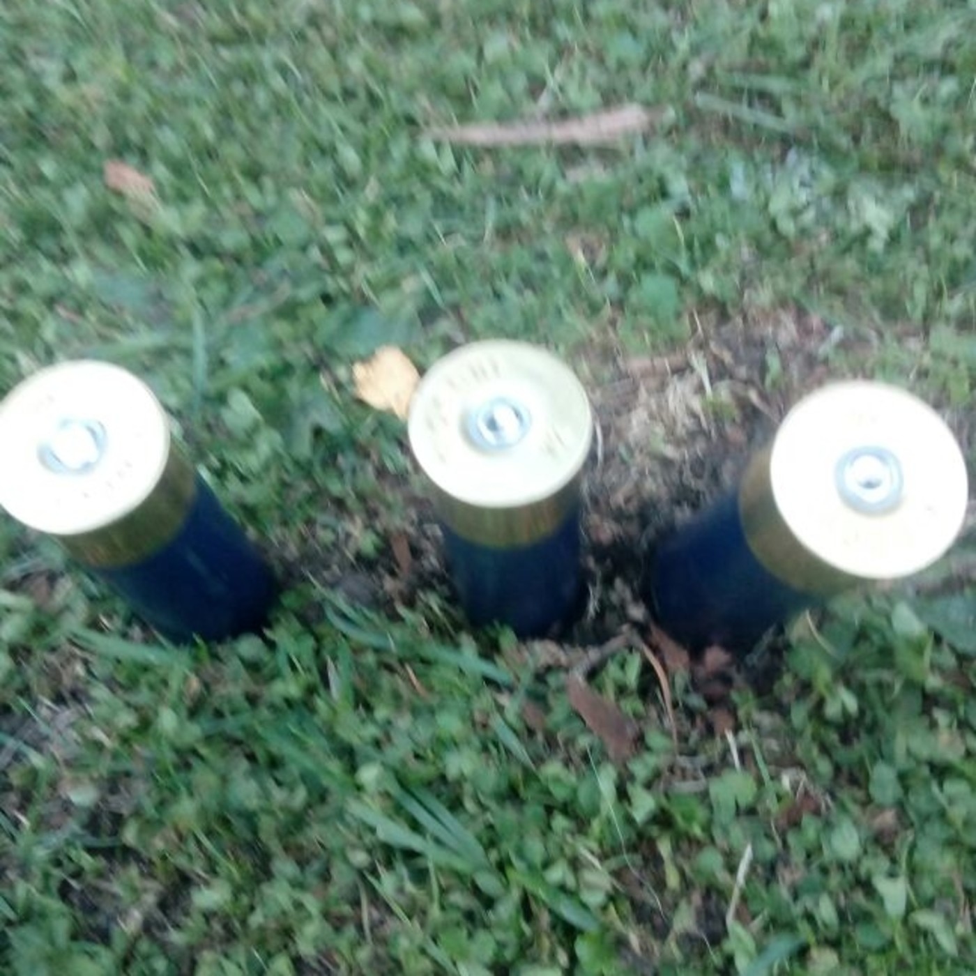 Podcast Voces de la Disidencia