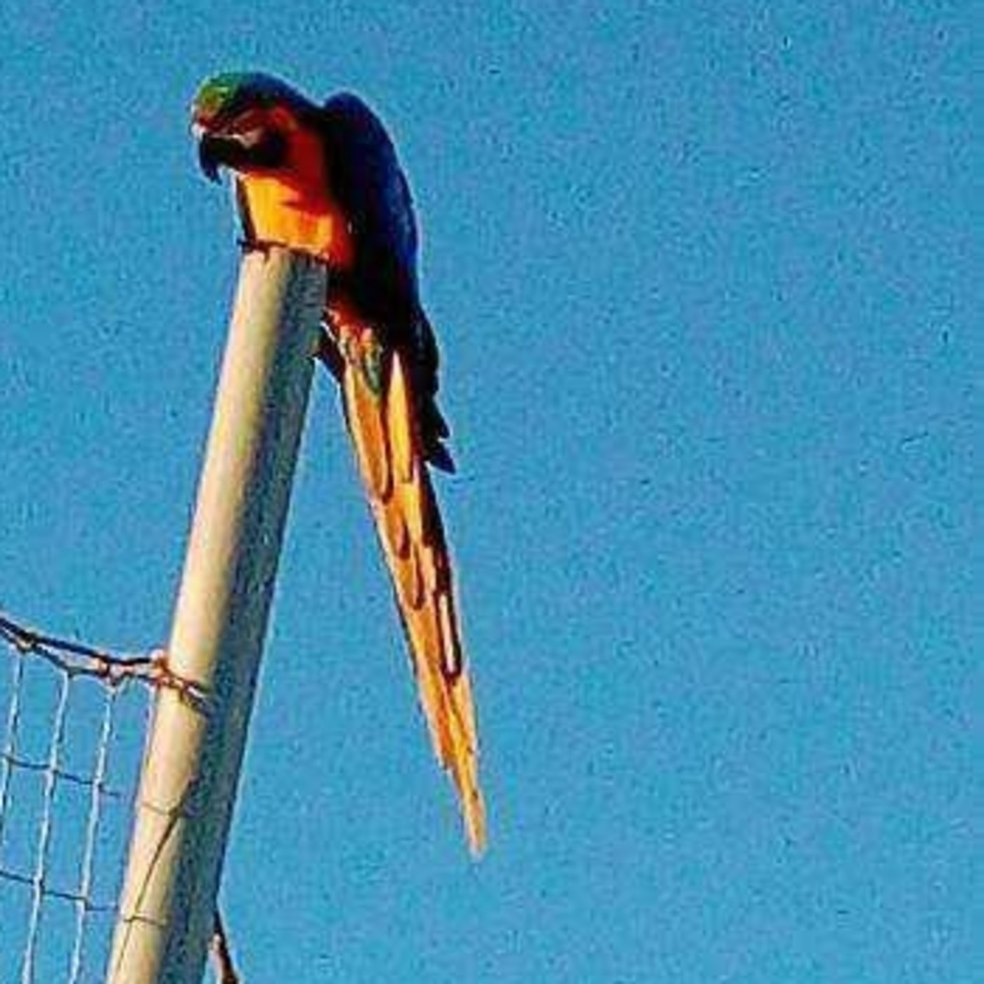 deportescopemallorca