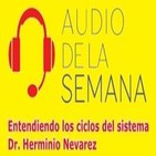 Entendiendo Los Ciclos del Sistema