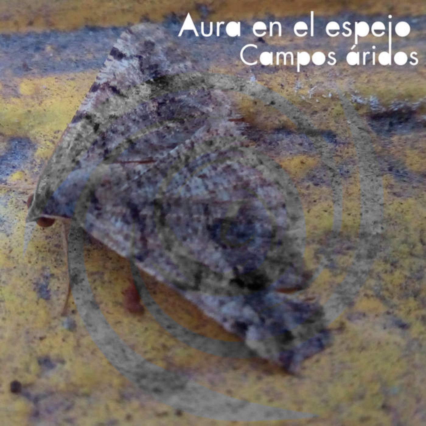 Música para leer