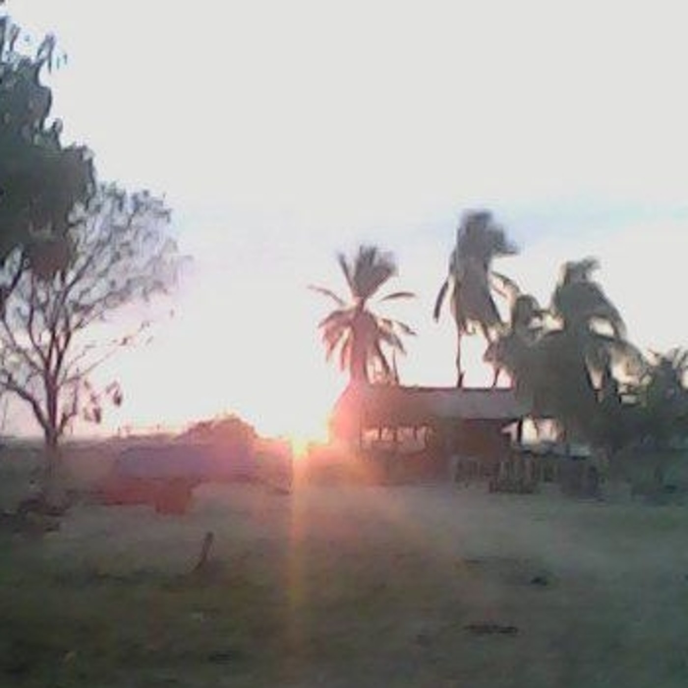 Jesus Figueredo Hidalgo