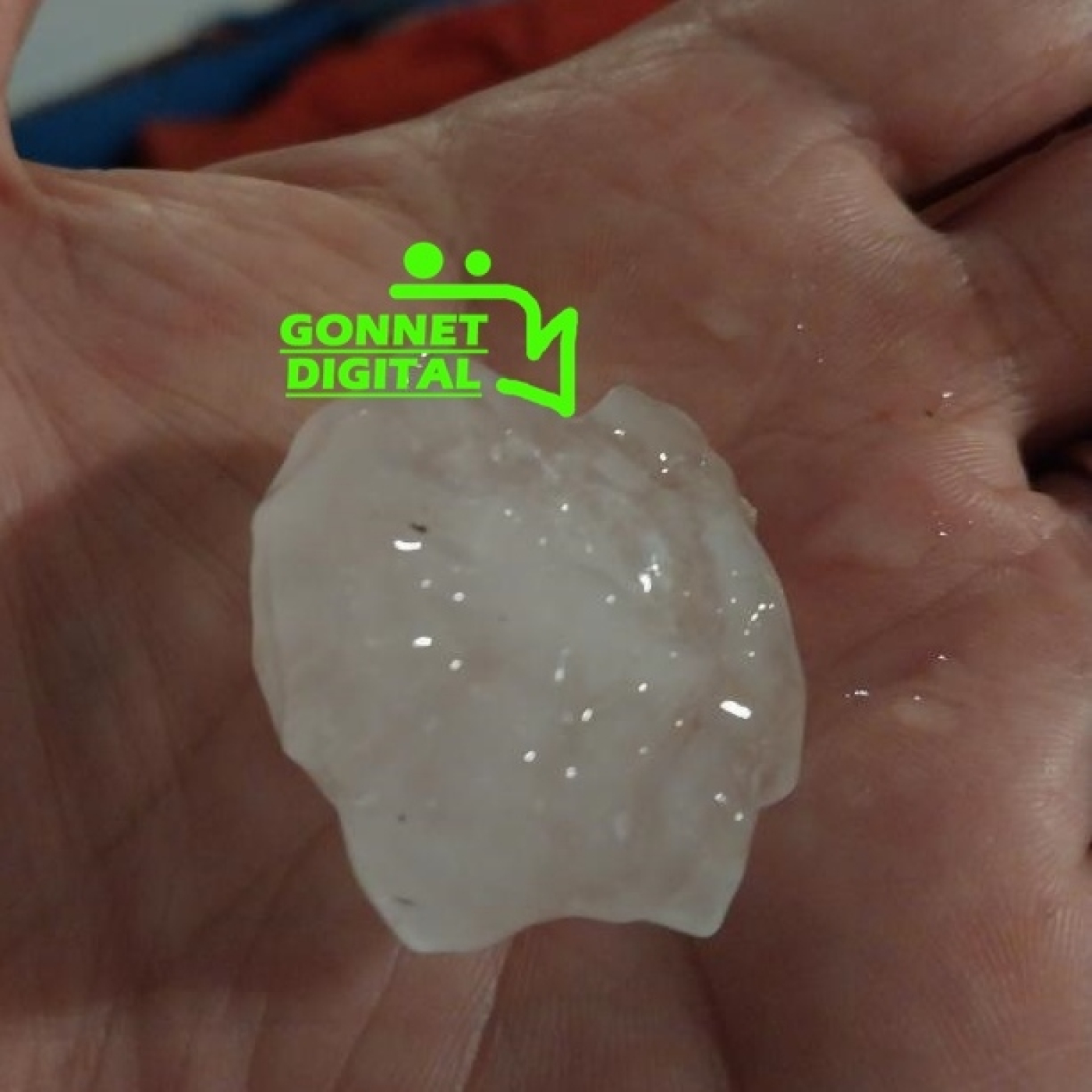 Podcast de Radio Gonnet