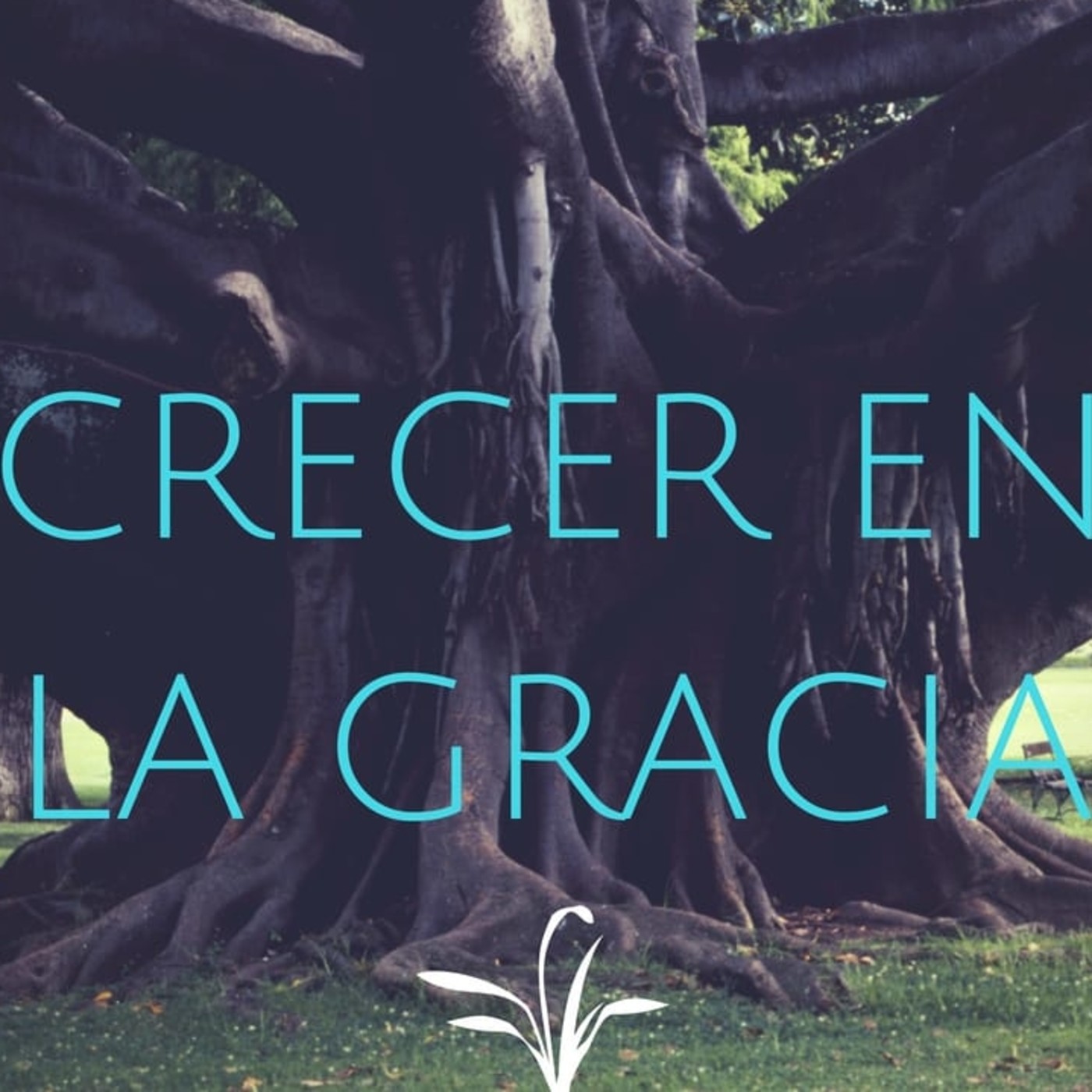 Crecer en la Gracia 7 ¿Qué hace Dios cuando pecamos? - Pastor Kenneth Solá episode artwork
