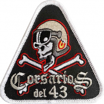 embed image