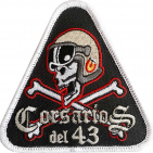 embed image