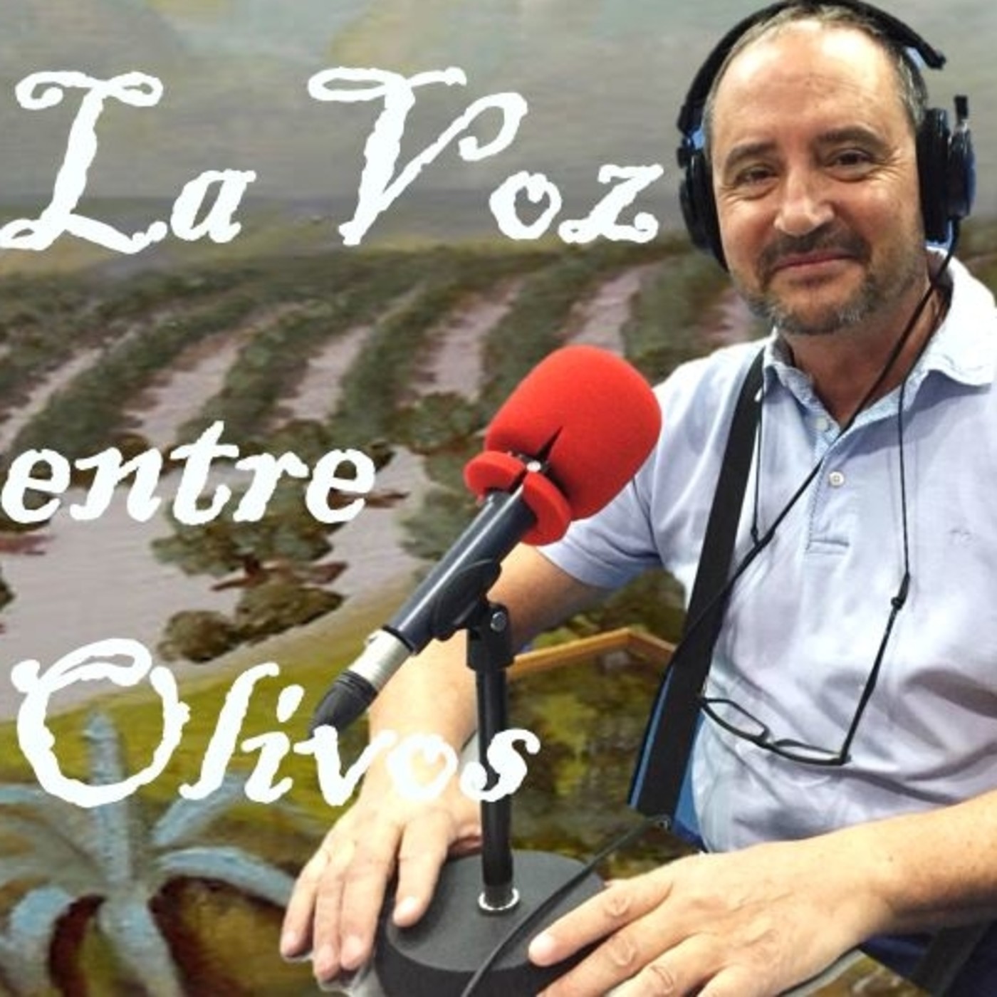 LA VOZ ENTRE OLIVOS