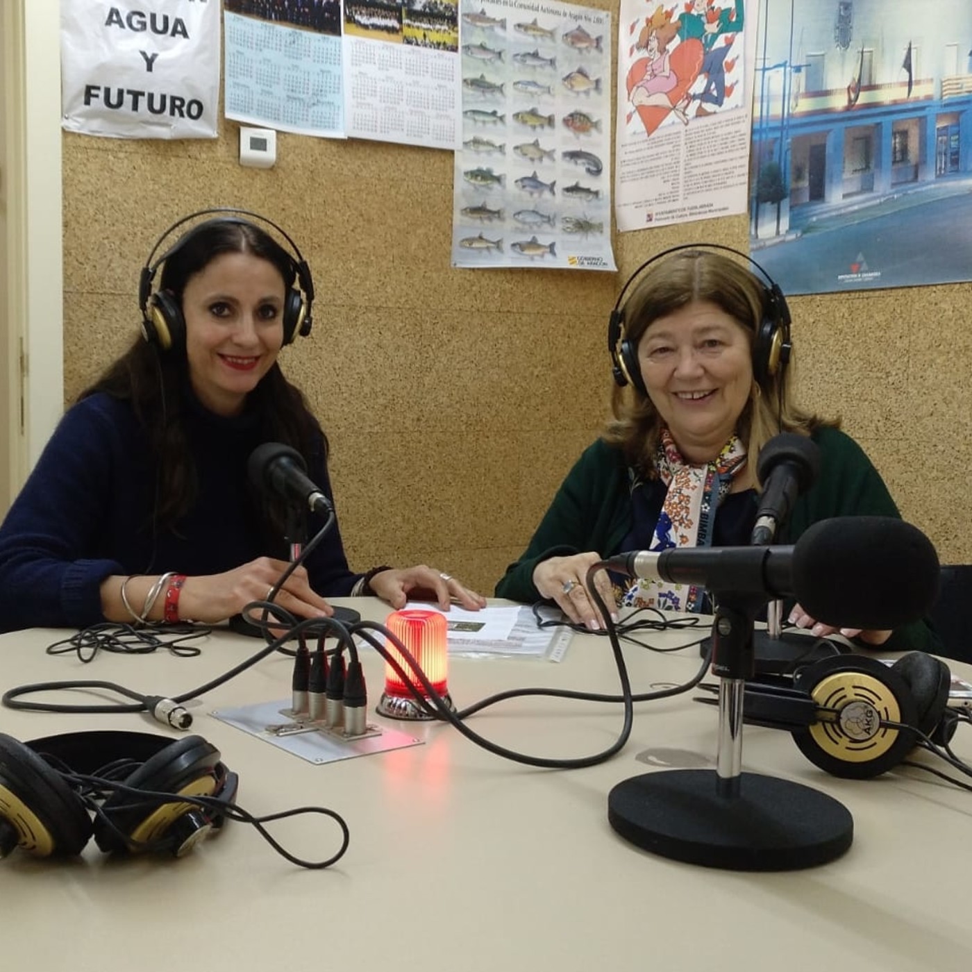 Audios de Ana