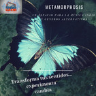 metamorfosis - el papel de la mujer en la música primera parte 5 de junio de 2019 fecha proxima