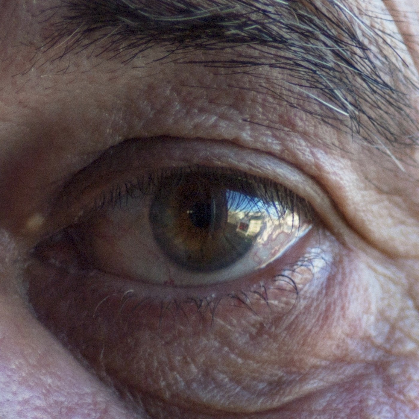 Ojo de Pez