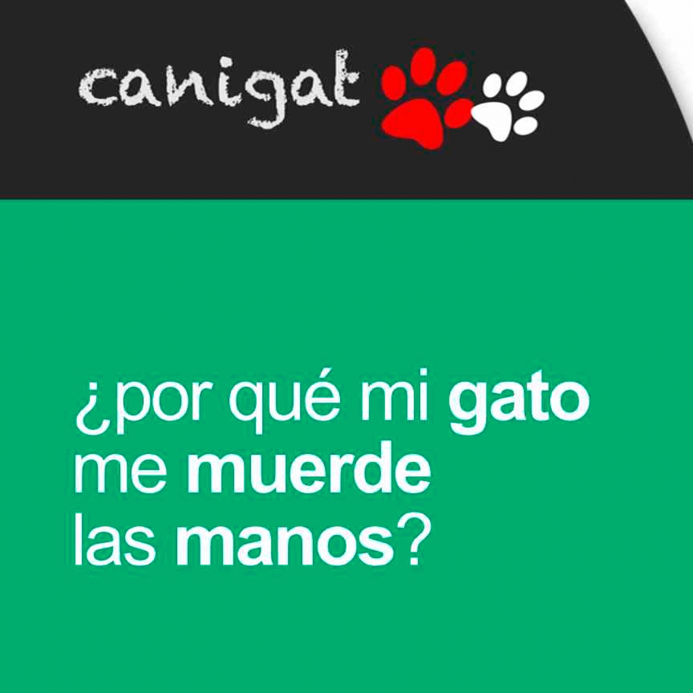 Consejos veterinarios de perros y gatos by canigat