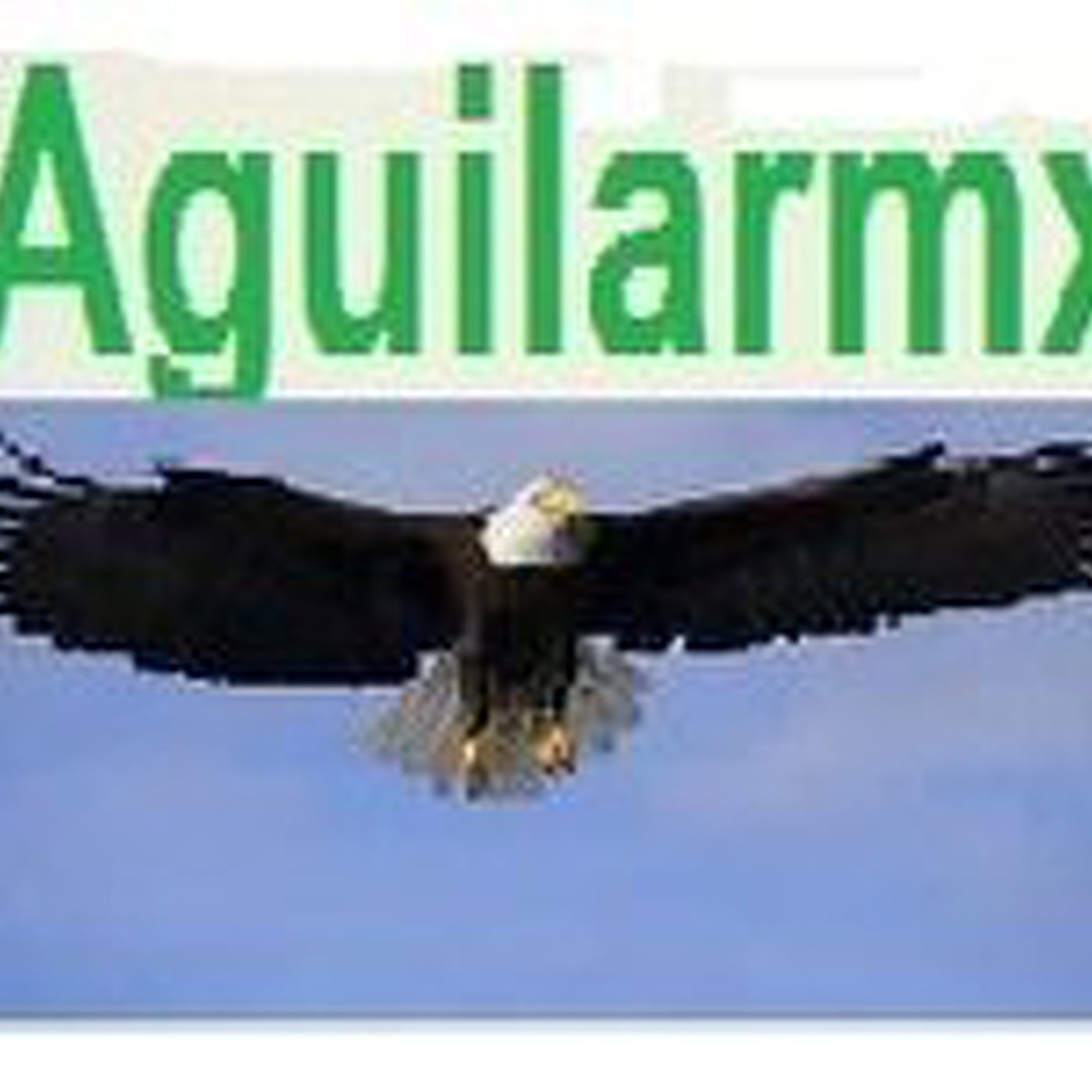 Aguilarmx: la ciencia