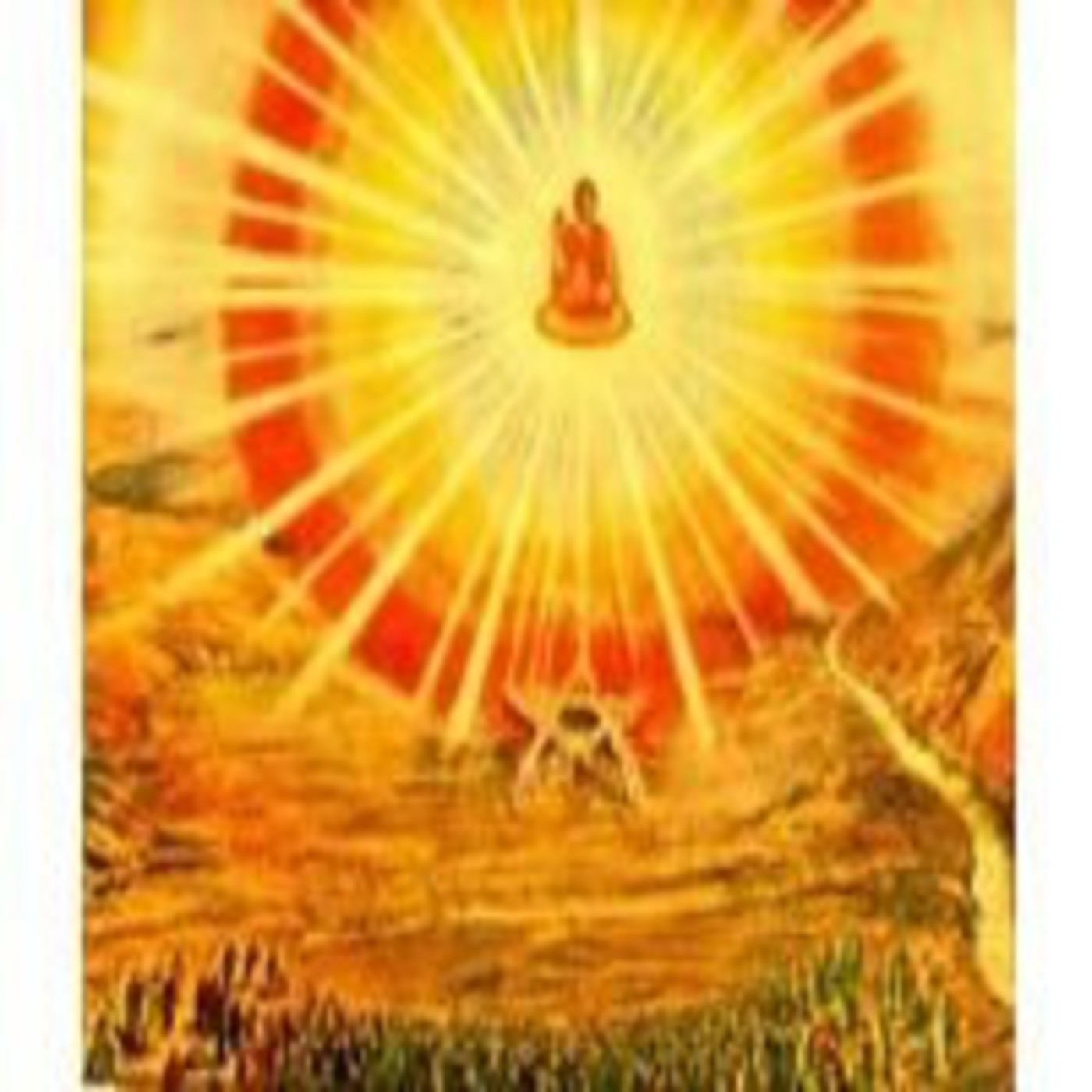 2011-CHARLAS-SERVICIO-USBV-VIPASSANA
