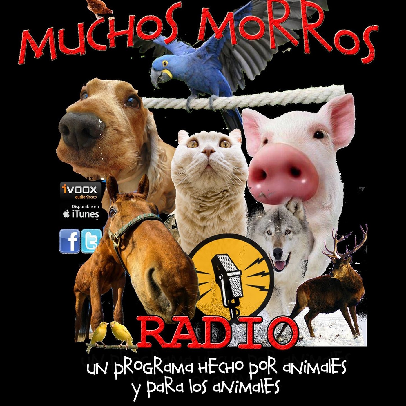 MUCHOS MORROS