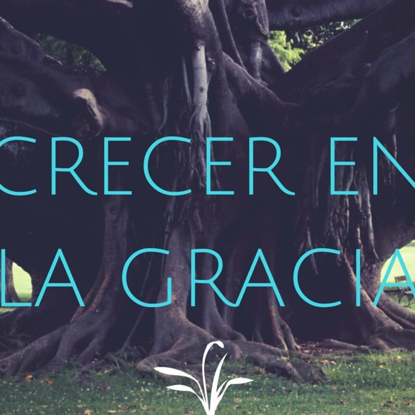 Crecer en la Gracia 5 Dividiendo los pactos - Pastor Kenneth Solá episode artwork