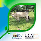 Conozcamos sobre la calidad de la leche