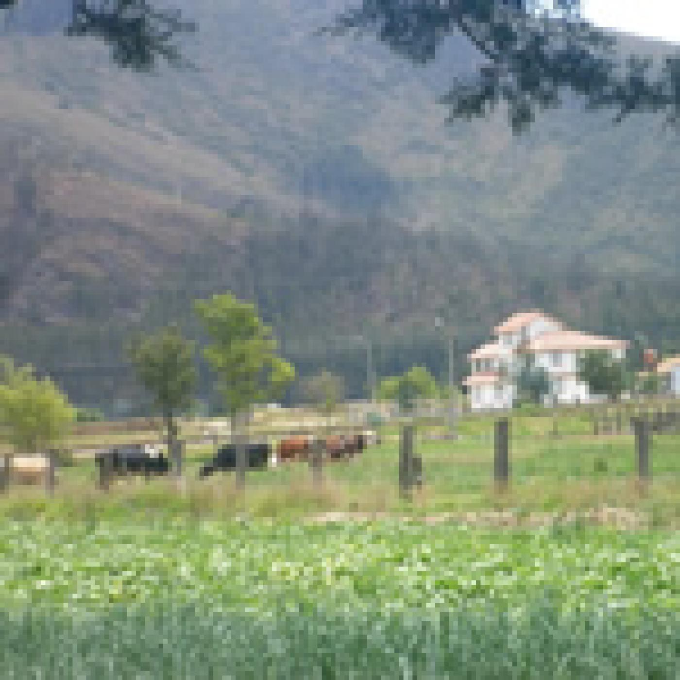 EL CAMPO, UNA DESPENSA PARA DAR Y CONVIDAR