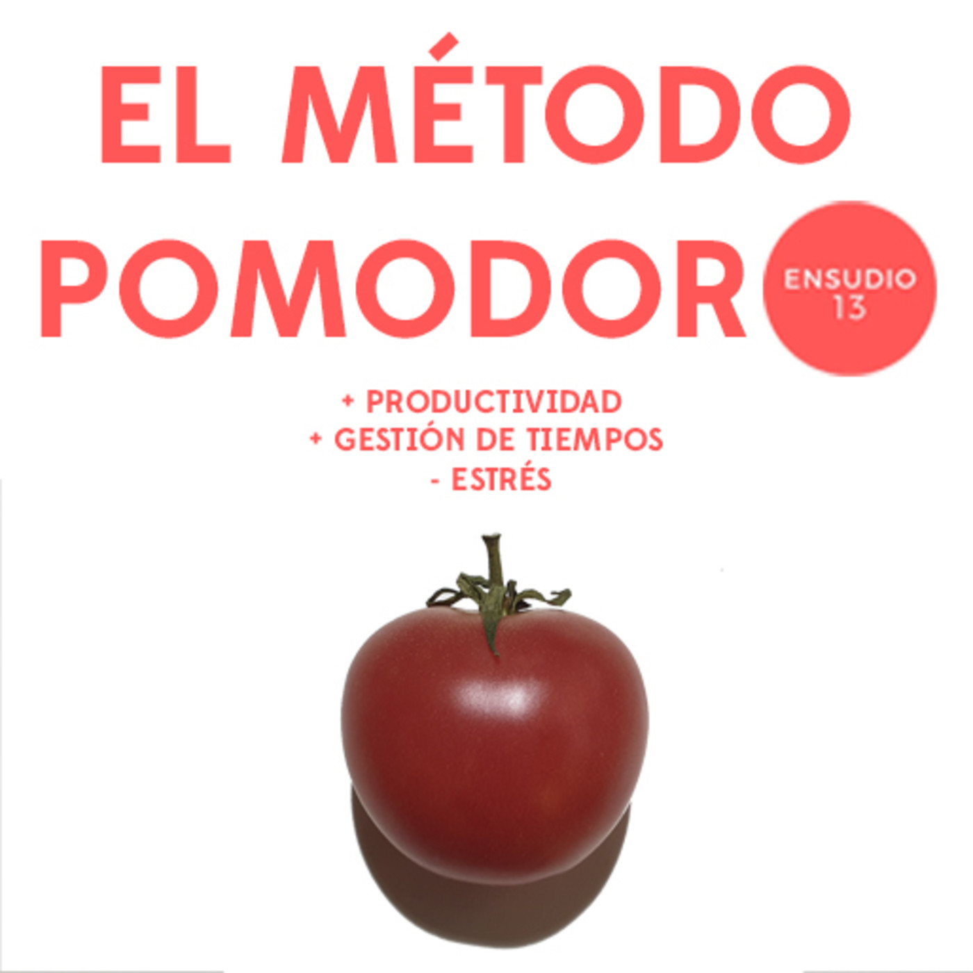 Ensudio 13