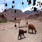 Viaje a SALTA (Argentina) - Ràdio Manises