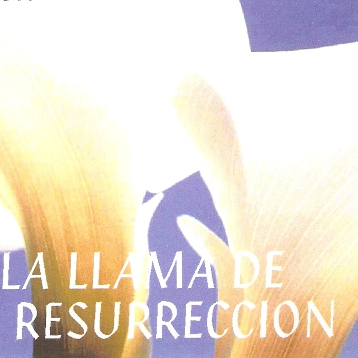 CUARTO RAYO