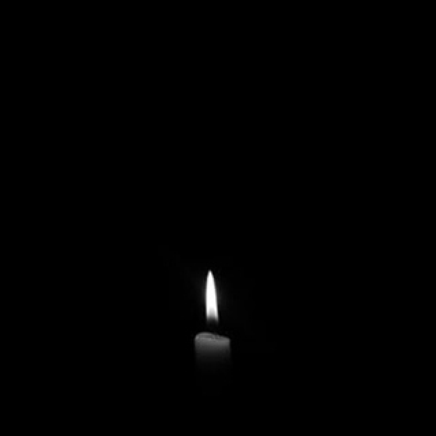 Cuentos del bosque oscuro