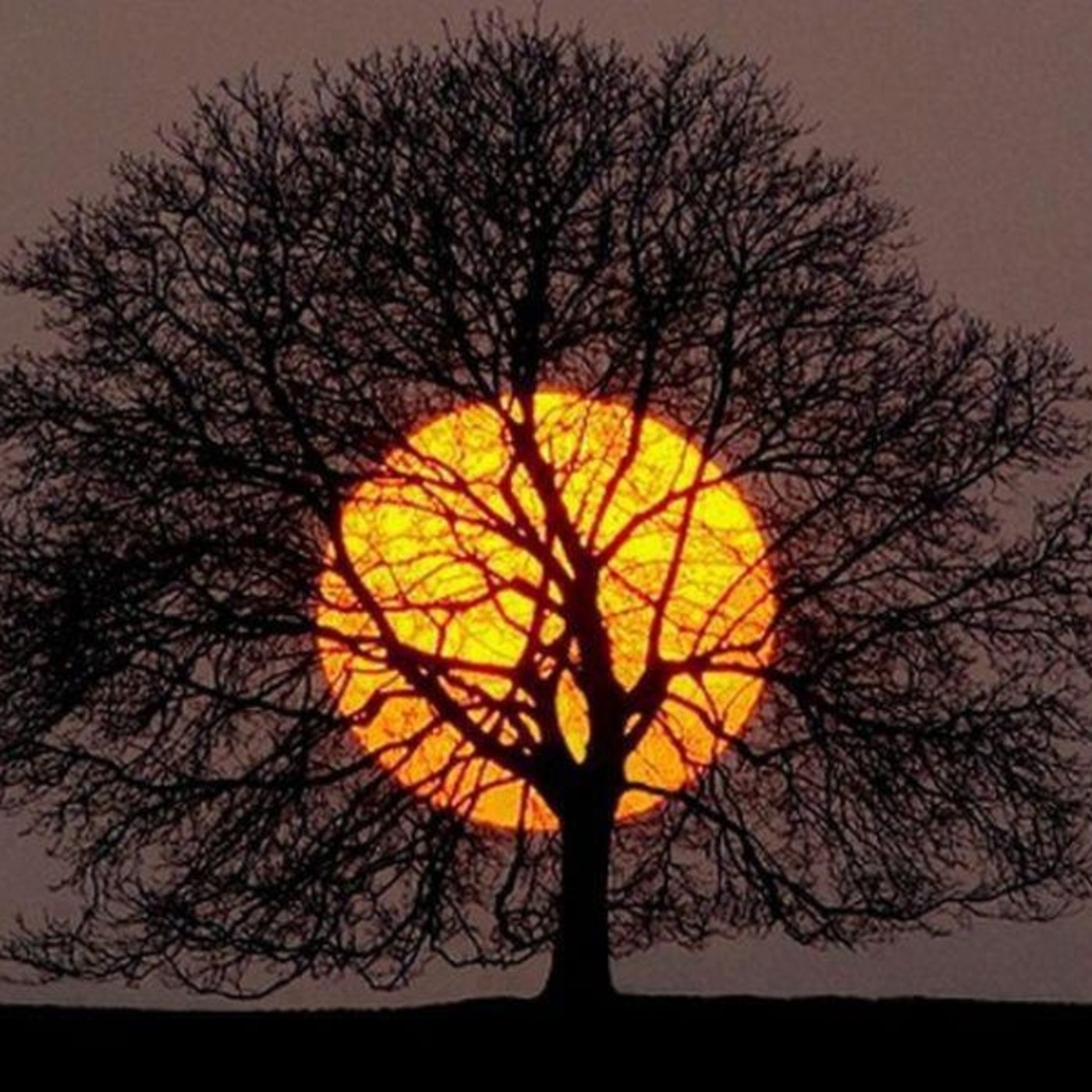 Brahma Kumaris Valencia
