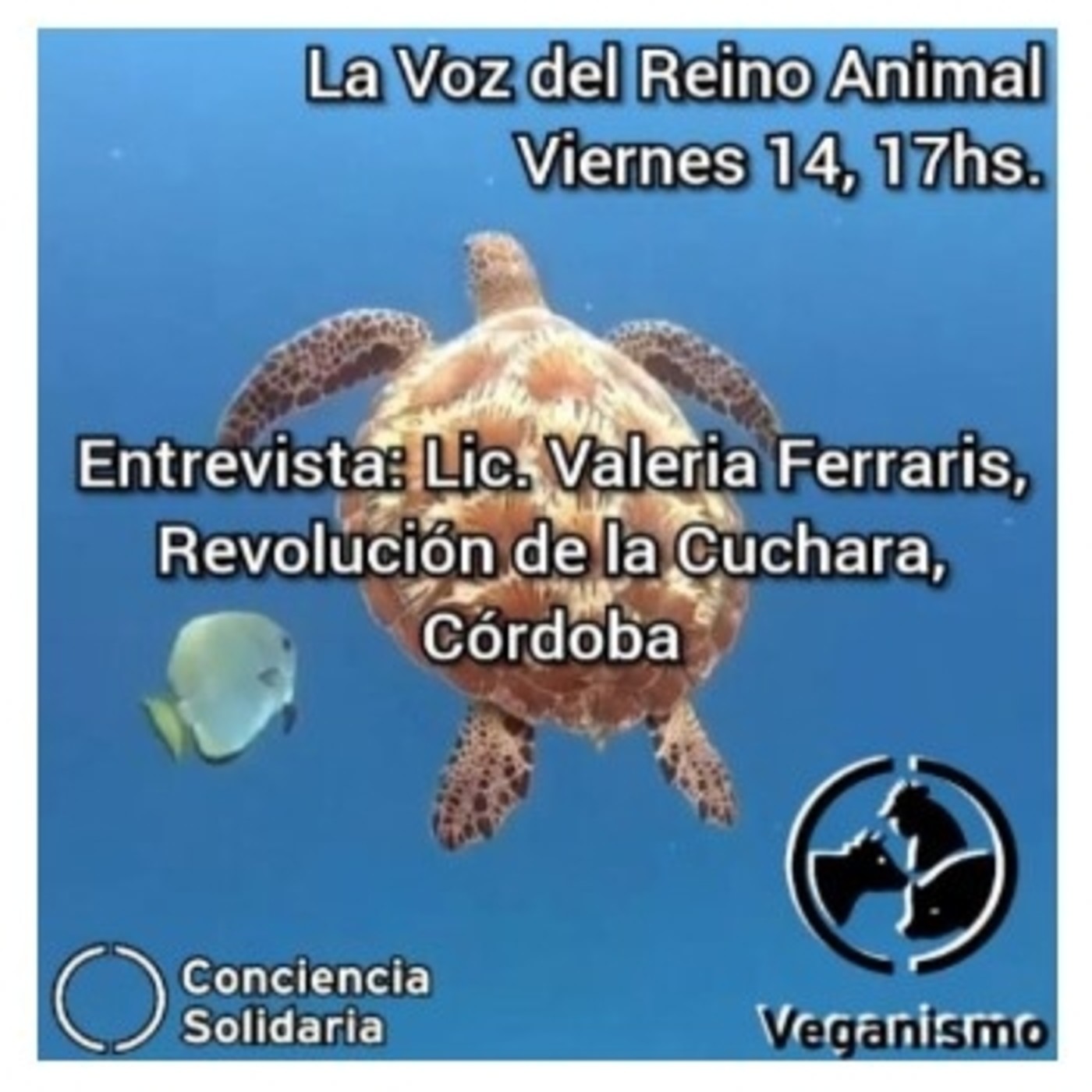 Extracto de #LaVozDelReinoAnimal! 14.6.19 episode artwork