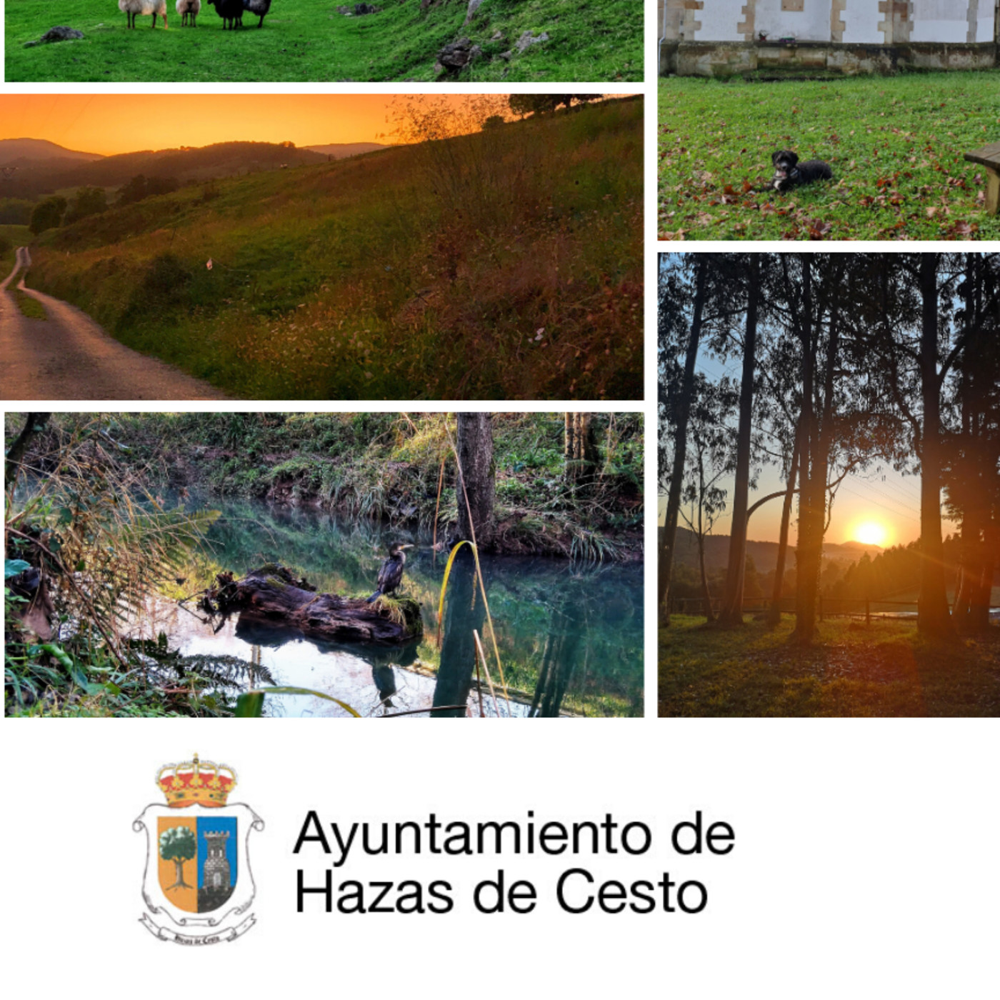 Ayuntamiento Hazas de Cesto