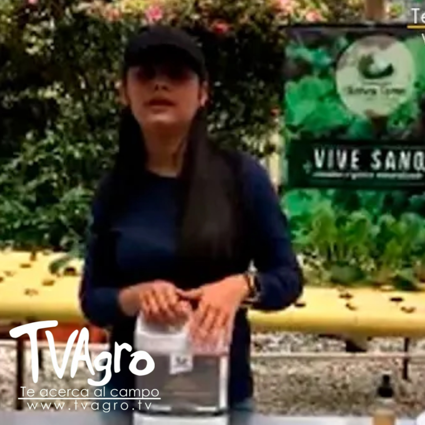TV AGRO