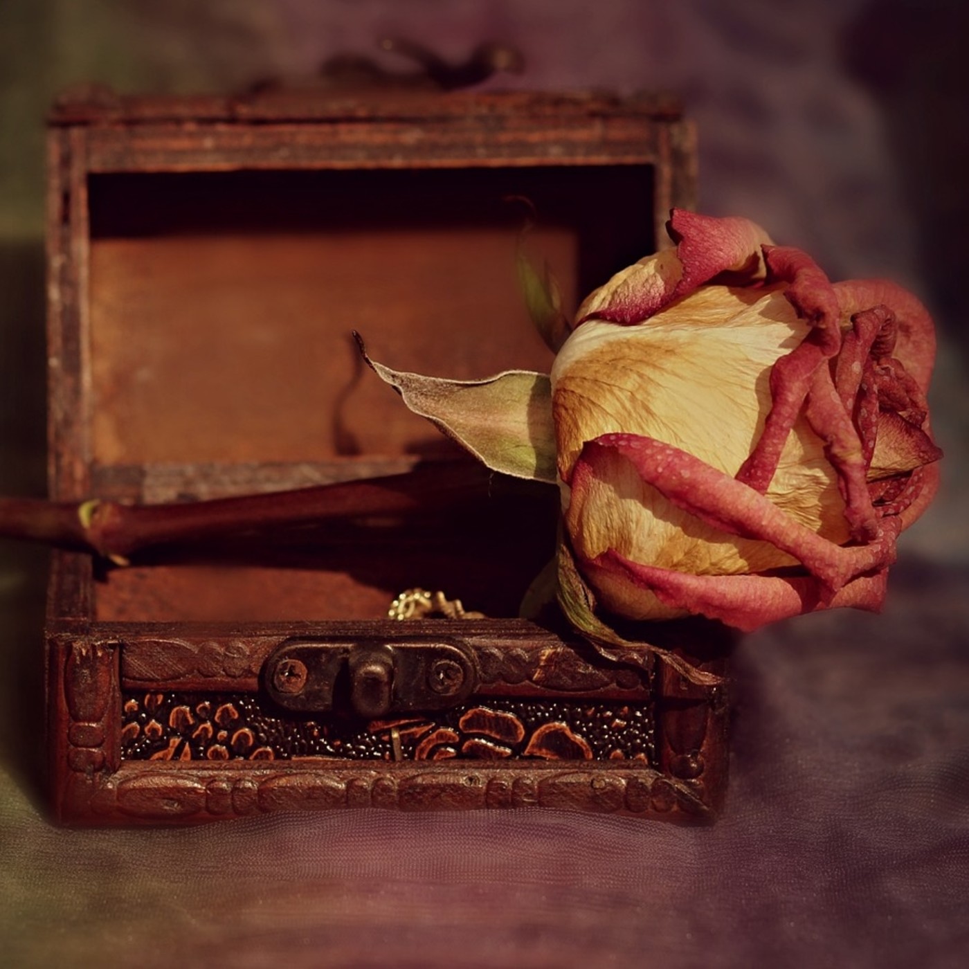 13 Jugar con los recuerdos episode artwork
