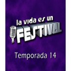 La Vida Es Un Festival 14x10