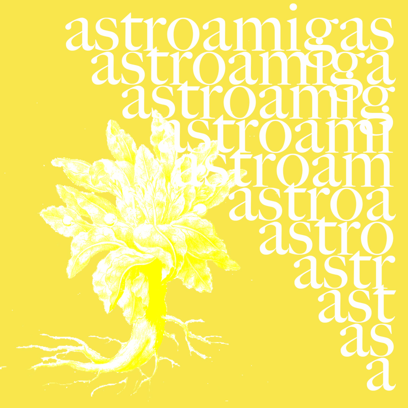 AstroAmigas!