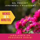 # 22 - Una curiosidad del "espino de fuego"