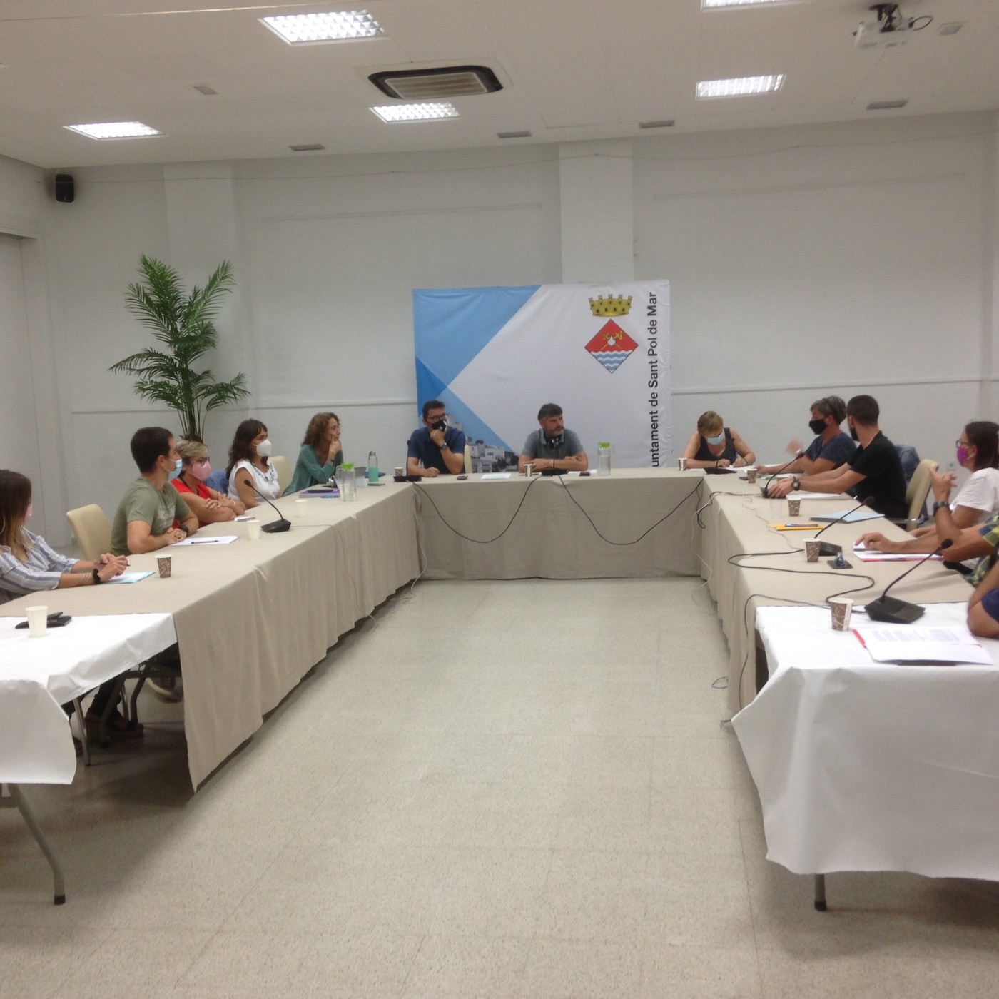 Plens municipals