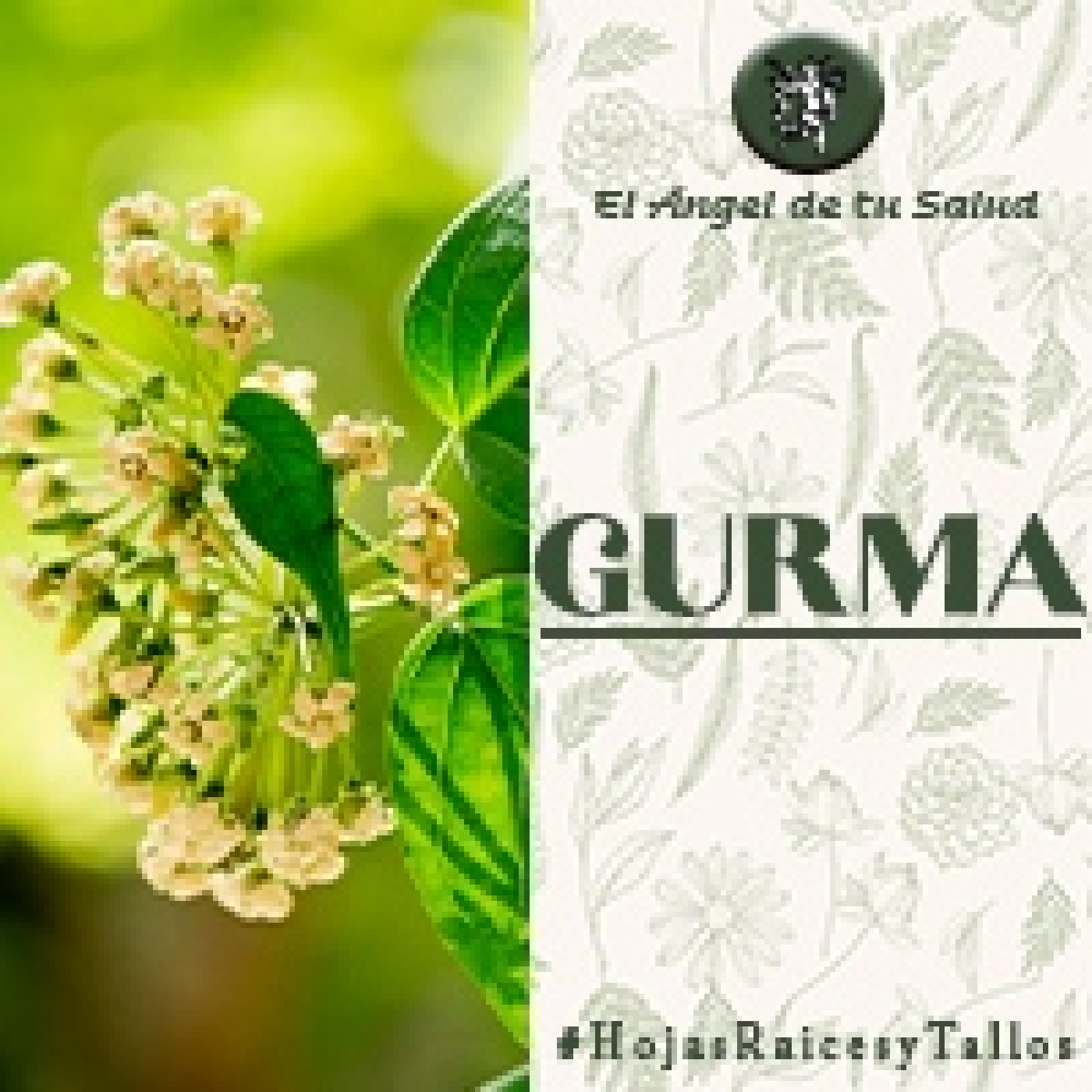 El Ángel de tu Salud - Gurma** episode artwork