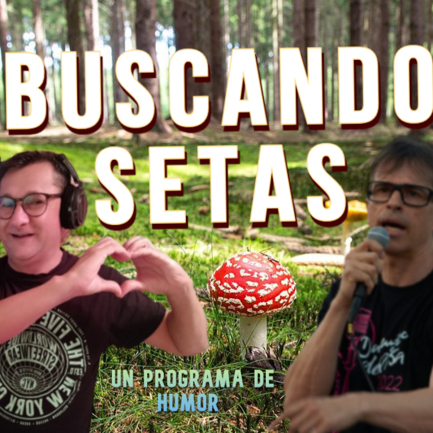 PROGRAMA BUSCANDO SETAS