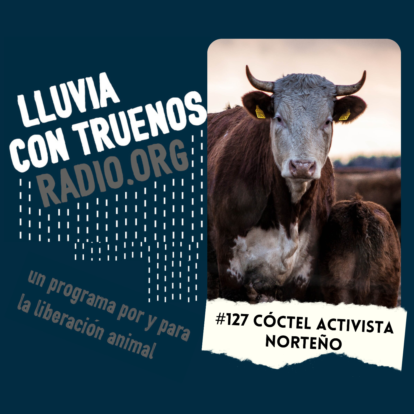 Lluvia con truenos radio