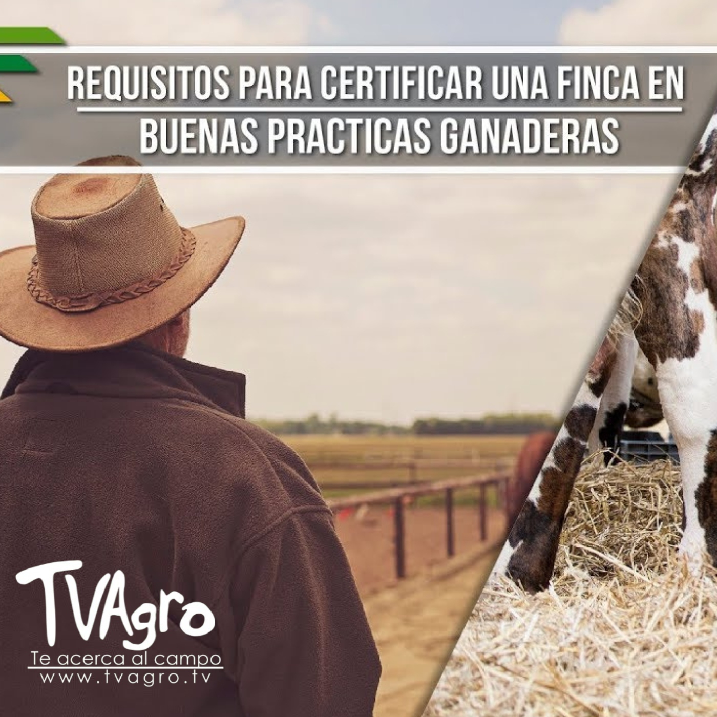 TV AGRO